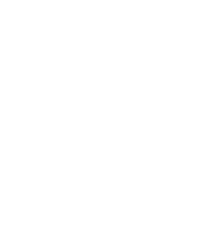 Chalk sketch of the F301 front view