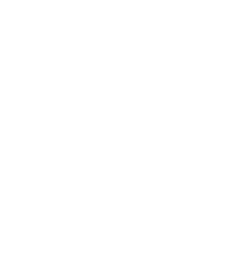Chalk sketch of the F317 front view